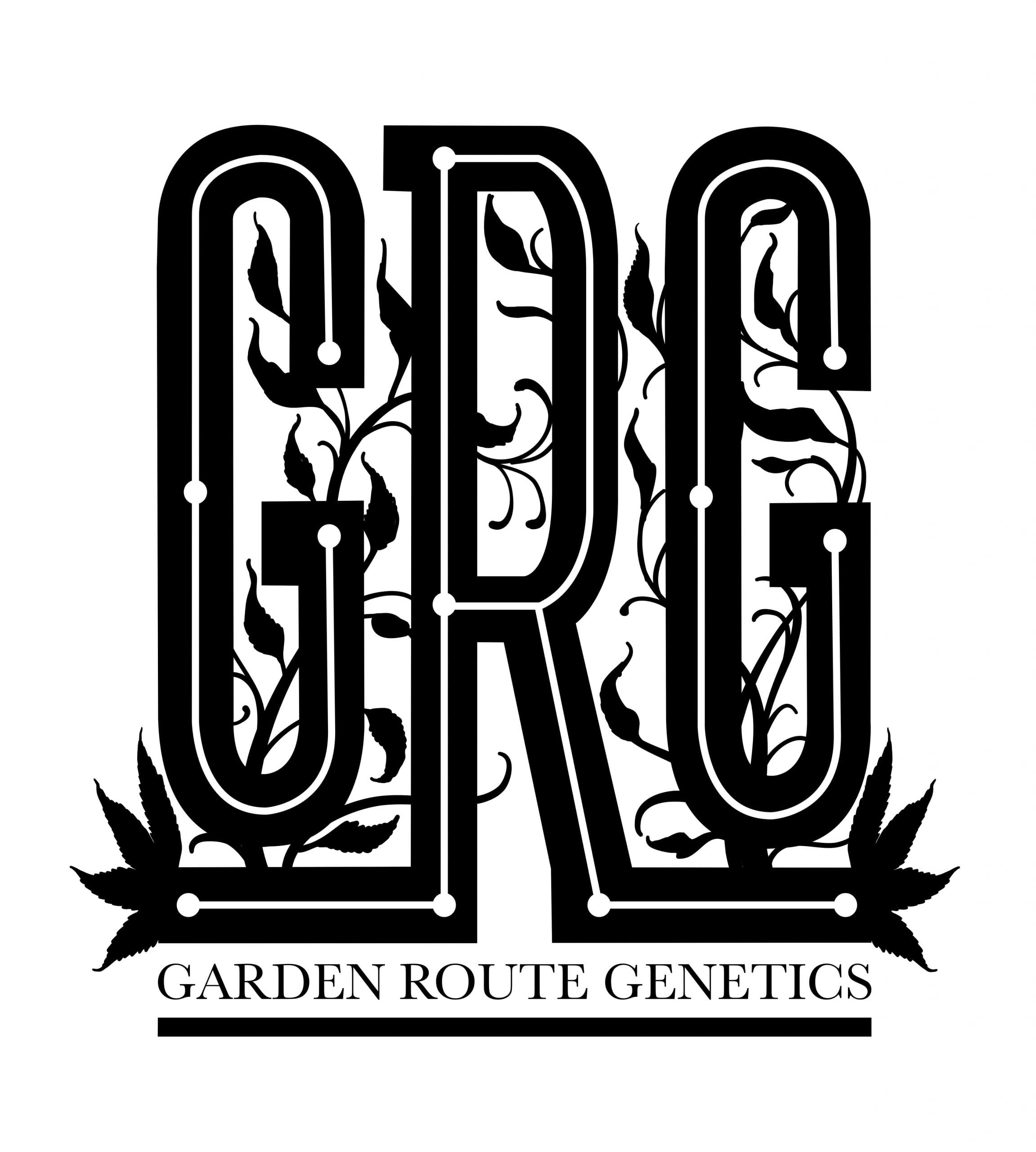 Grg Slurricane Cheese Regular 10 Seeds Biltong And Budz